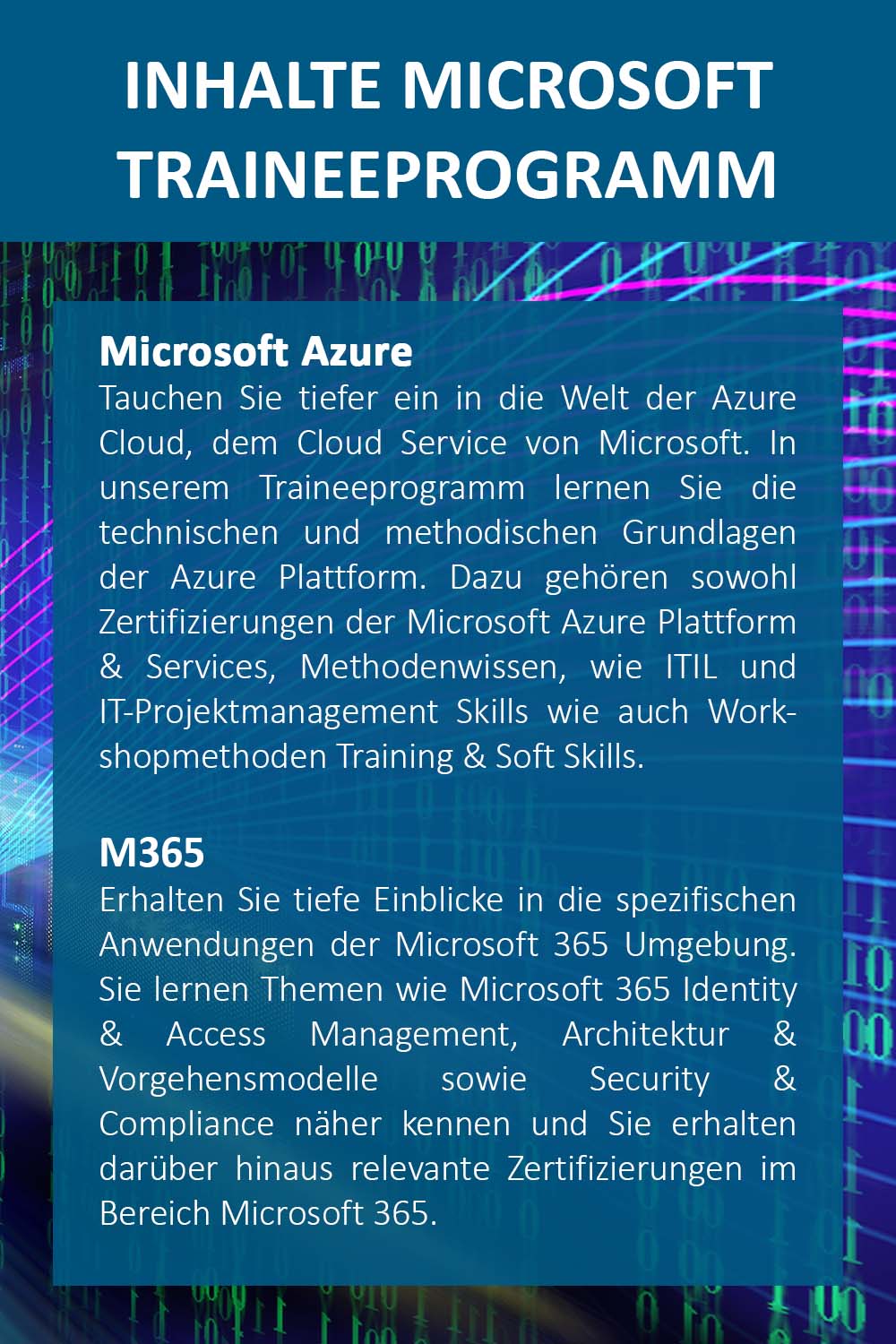 Trainee Programme Microsoft