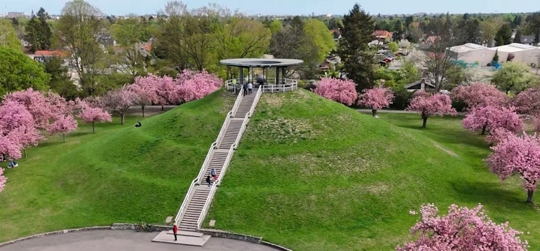 Header Referenz Bezirksamt Steglitz SVA 2025