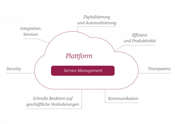 Plattform Service Management
