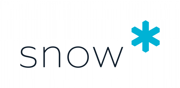 Logo Snow Software GmbH