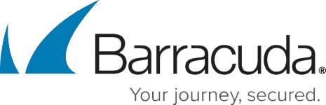 Barracuda Networks Partner Logo
