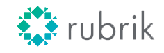 Rubrik Partner Logo