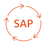 SAP Application Lifecycle Management